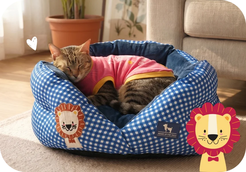 Cat Beds