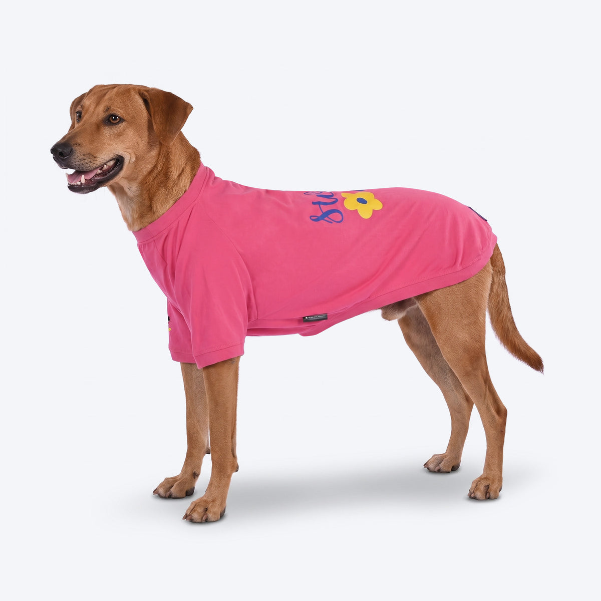 HUFT Sweet One Printed T-Shirt For Dog - Pink