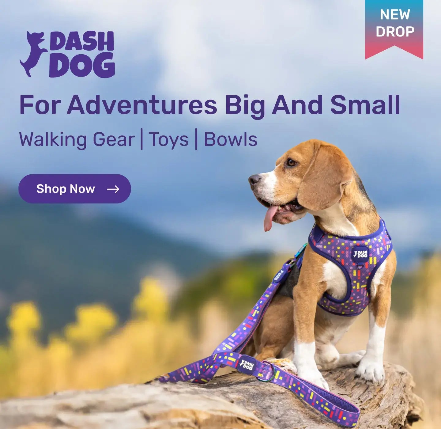 Heads Up For Tails: Online Pet Store for Pet Supplies & Products