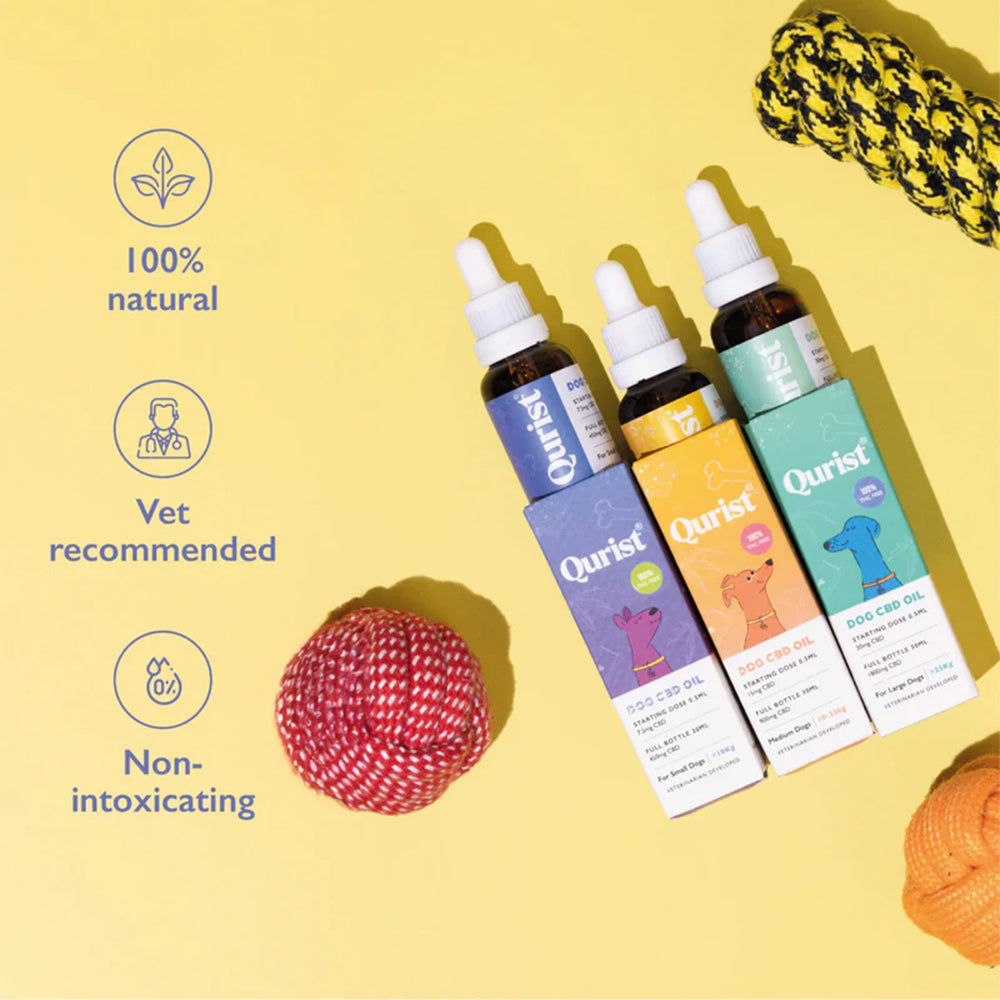 Qurist CBD Oil For Large Dog (Above 25 kg) - 1800 mg - 30 ml