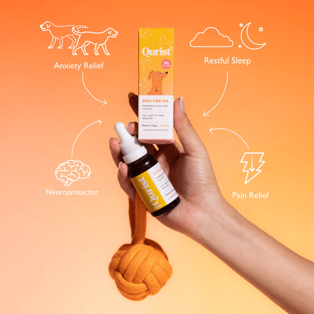 Qurist CBD Oil For Medium Dog (10-25 kg) - 900 mg - 30 ml