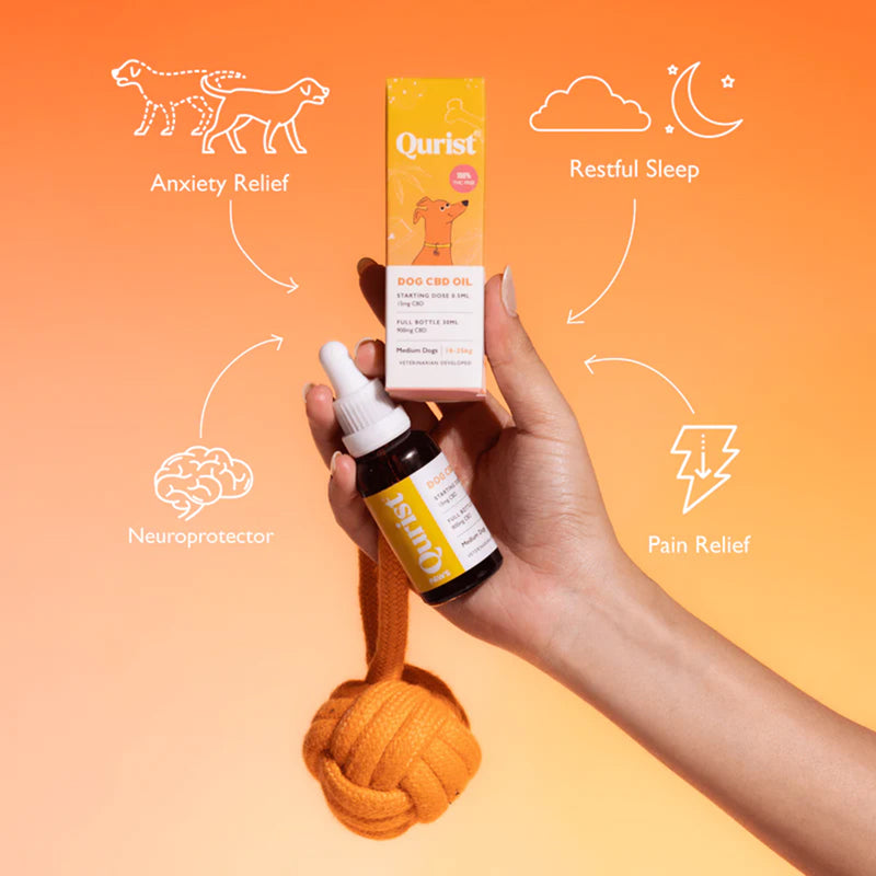 Qurist CBD Oil For Medium Dog (10-25 kg) - 900 mg - 30 ml - Heads Up For Tails