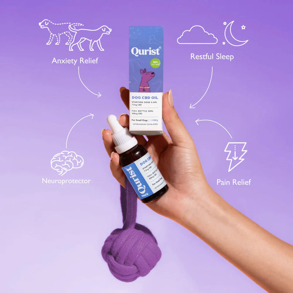 Qurist CBD Oil For Small Dog (Below 10 kg) - 450 mg - 30 ml