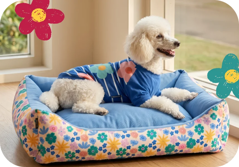 Dog Beds