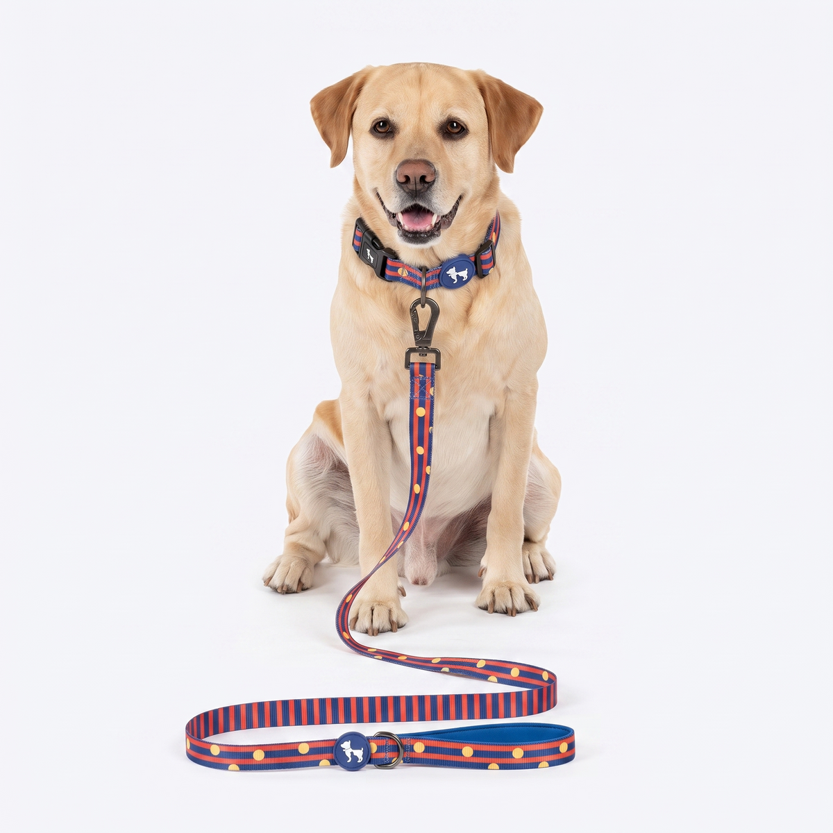 HUFT Playstripes Collar For Dog - Rust & Navy