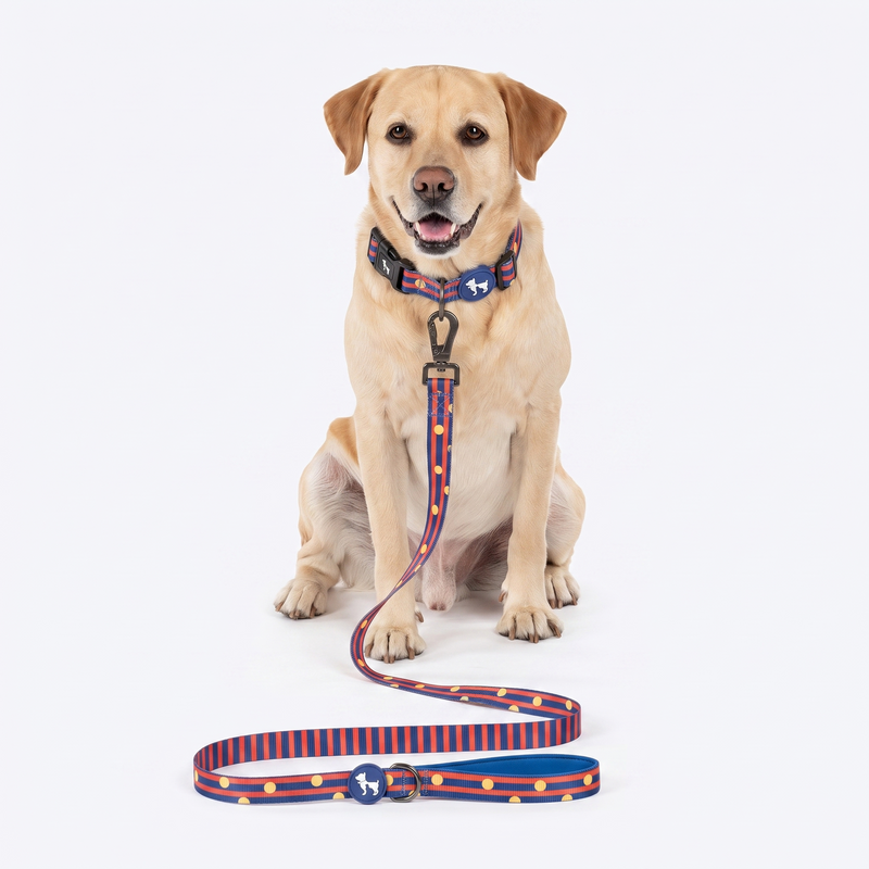 HUFT Playstripes Collar For Dog - Rust & Navy