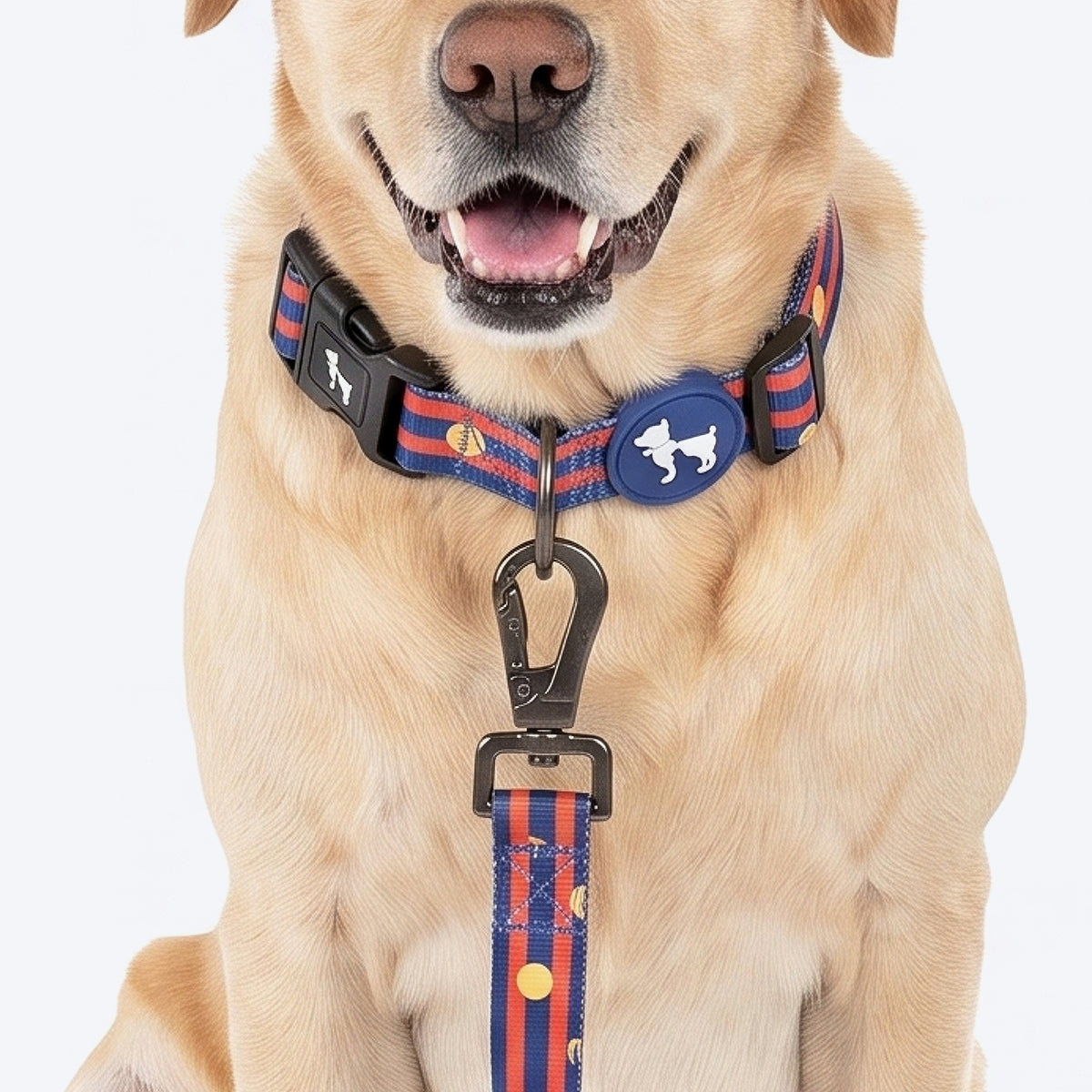 HUFT Playstripes Collar For Dog - Rust & Navy