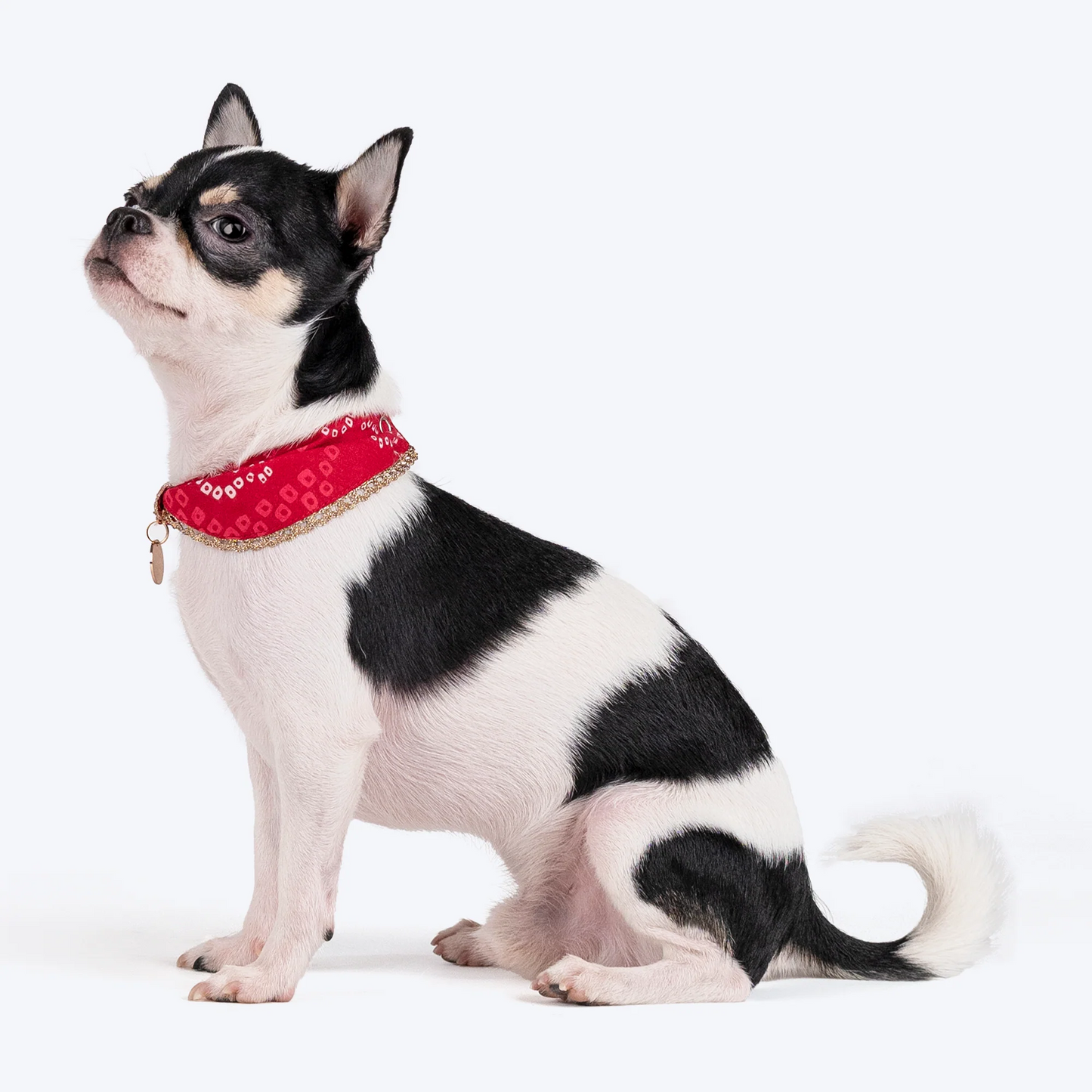 HUFT Bandhani Breeze Scarf For Dog & Cat - Red