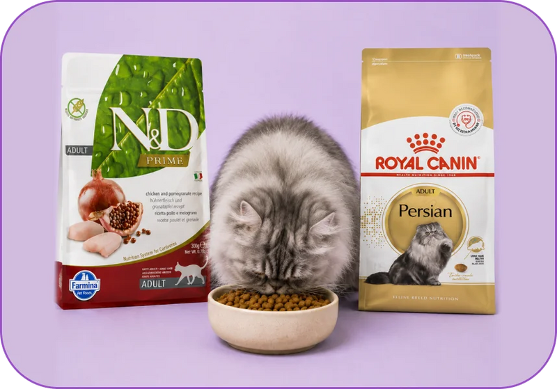 Cat Dry Food