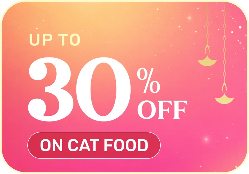 Shop Now →