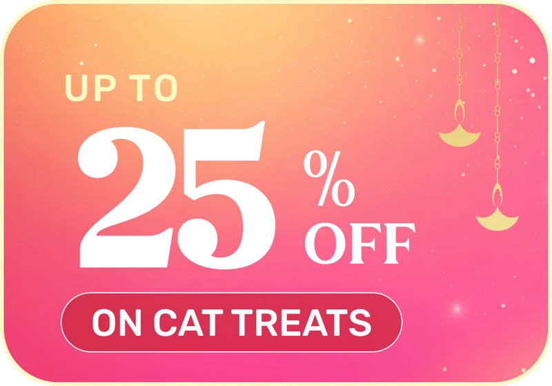 Shop Now →