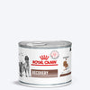 Royal Canin Veterinary Diet Recovery Canines & Felines Wet Food For Dog & Cat - 195 g - Heads Up For Tails