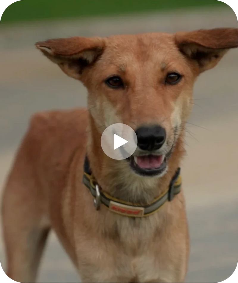 Let's speak up for their rights