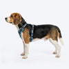 HUFT Dino Land Adjustable Harness For Dog - Blue - Heads Up For Tails