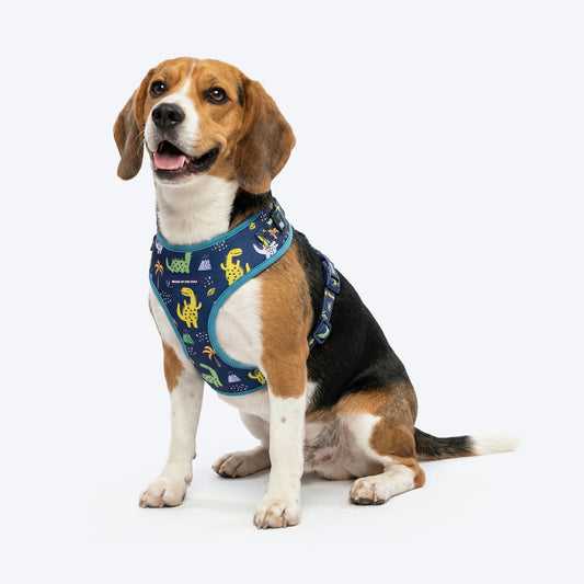 HUFT Dino Land Adjustable Harness For Dog - Blue - Heads Up For Tails