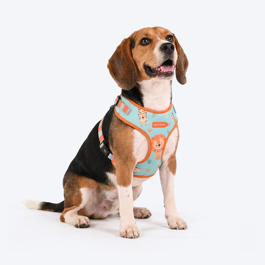 HUFT Jungle Safari Adjustable Harness For Dog - Mint Green - Heads Up For Tails