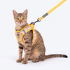 HUFT Easy Breezy Step-In Harness & Leash Set For Cat - Orange - Heads Up For Tails