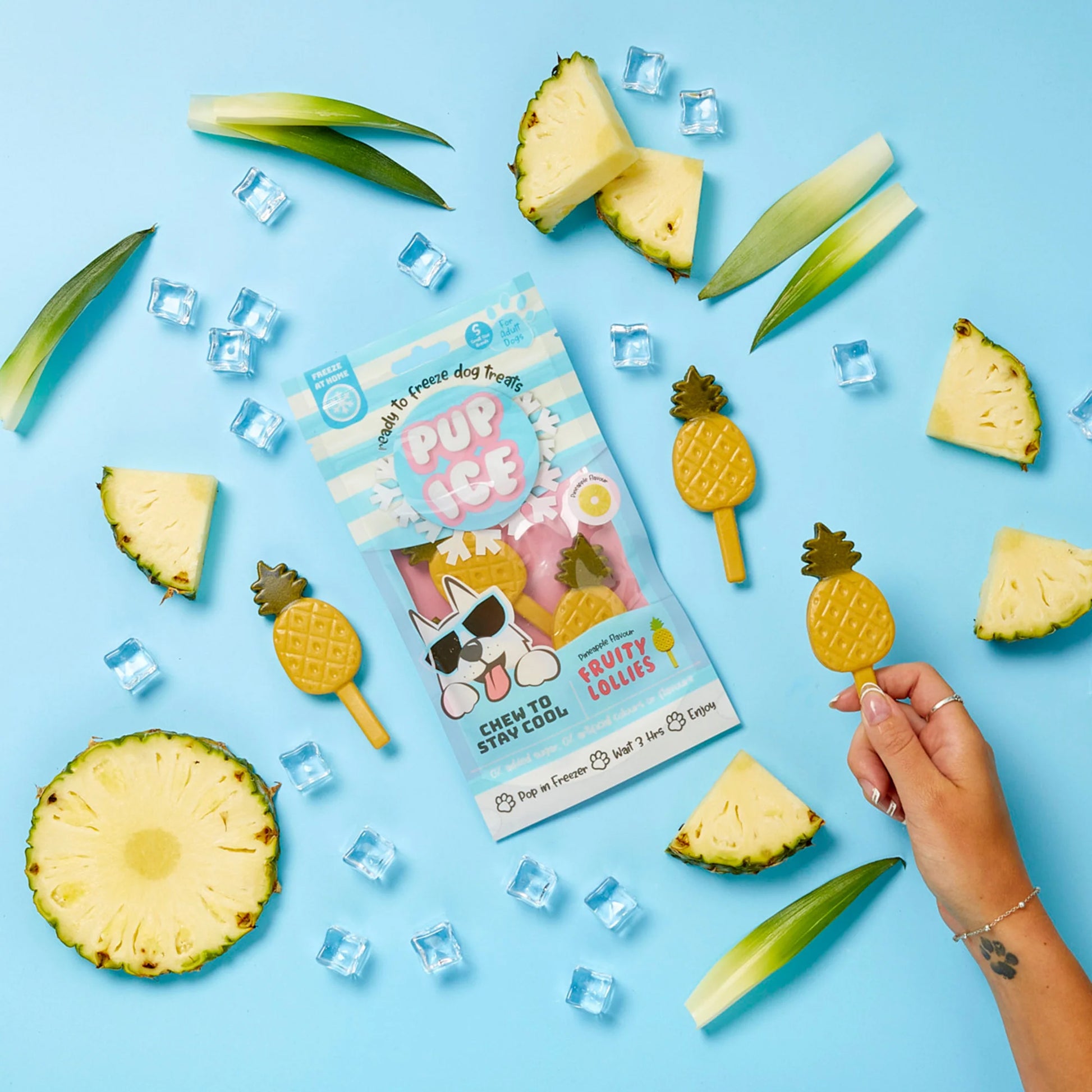 Pup Ice Fruity Lollies Pineapple Ready To Freeze Treat For Adult Dog - 90 gm - Heads Up For Tails