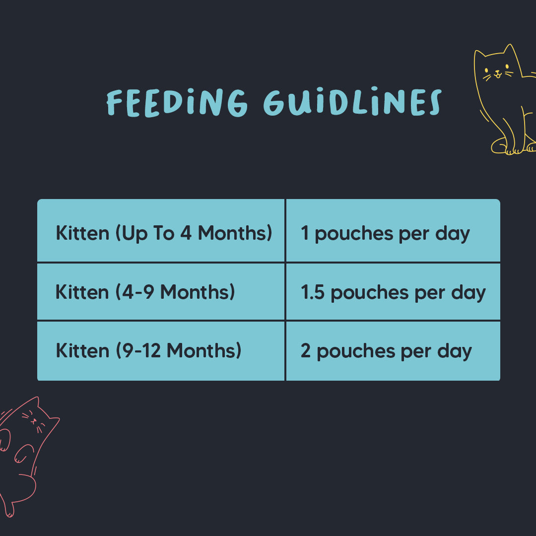Meowsi by HUFT Chicken & Salmon Mousse Kitten Wet Food, 70 gm, complete meal with vitamins and minerals, grain-free.