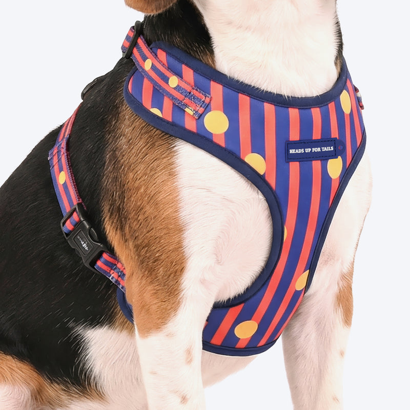 HUFT Playstripes Adjustable Harness For Dog - Rust & Navy