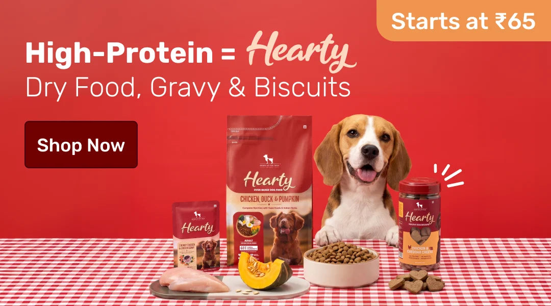 Hearty
