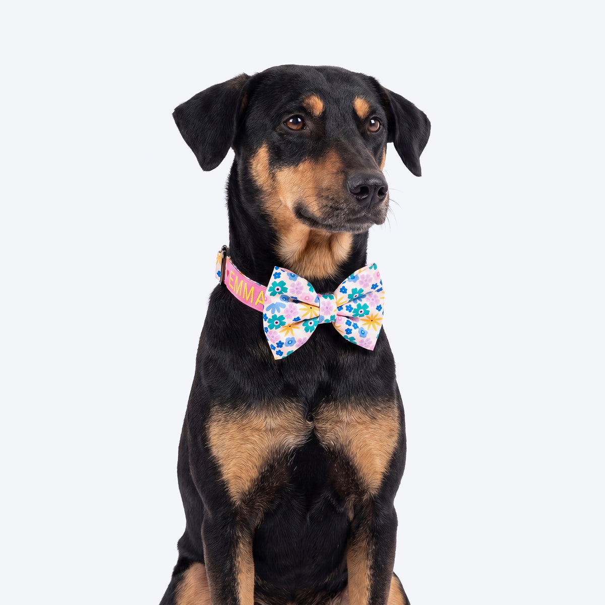 HUFT Personalised Bloomscape Collar With Bow Tie For Dog - Peach - Heads Up For Tails