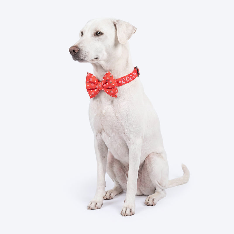 HUFT Personalised Berrylicious Collar With Bow Tie For Dog - Red & Pink - Heads Up For Tails