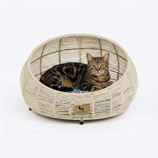 HUFT Snuggle Paws Rest Chair With Cushion For Cat - Ecru