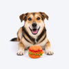 HUFT Bork-ger Plush Toy For Dog - Multicolor