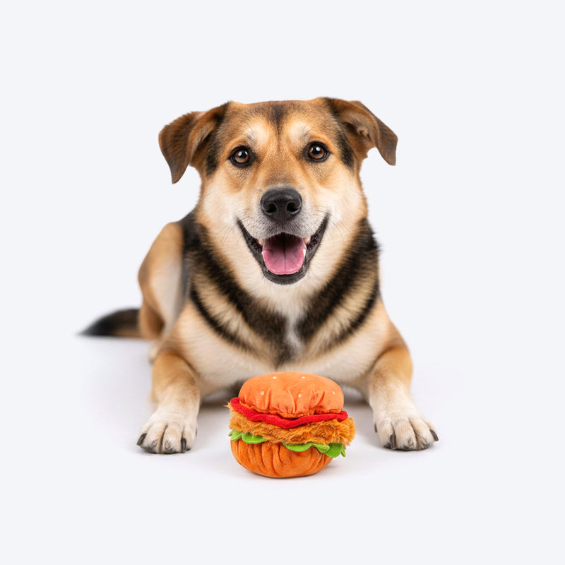 HUFT Bork-ger Plush Toy For Dog - Multicolor