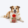 HUFT Woof Noodles Plush Toy For Dog - Multicolor