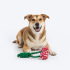 HUFT Cherrylicious Rope Toy For Dog - Multicolor