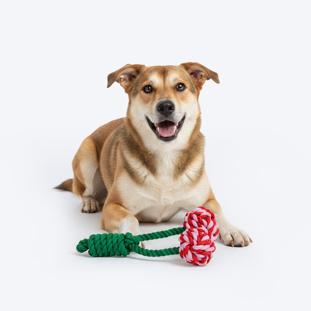 HUFT Cherrylicious Rope Toy For Dog - Multicolor