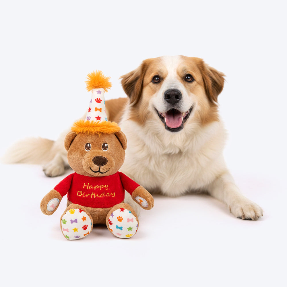 HUFT Barkday Bear Plush Toy For Dog - Multicolor