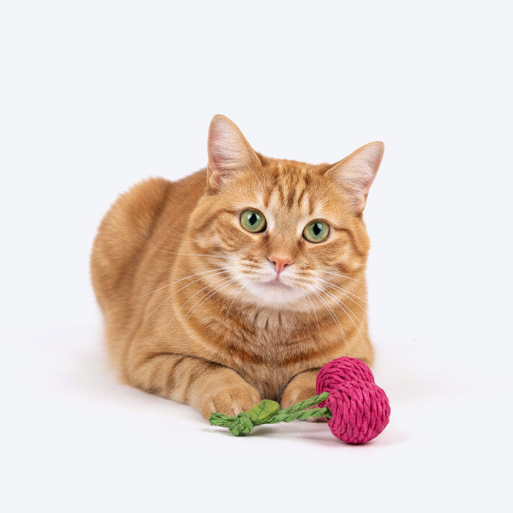 HUFT Cherrie Rattle Toy For Cat - Pink
