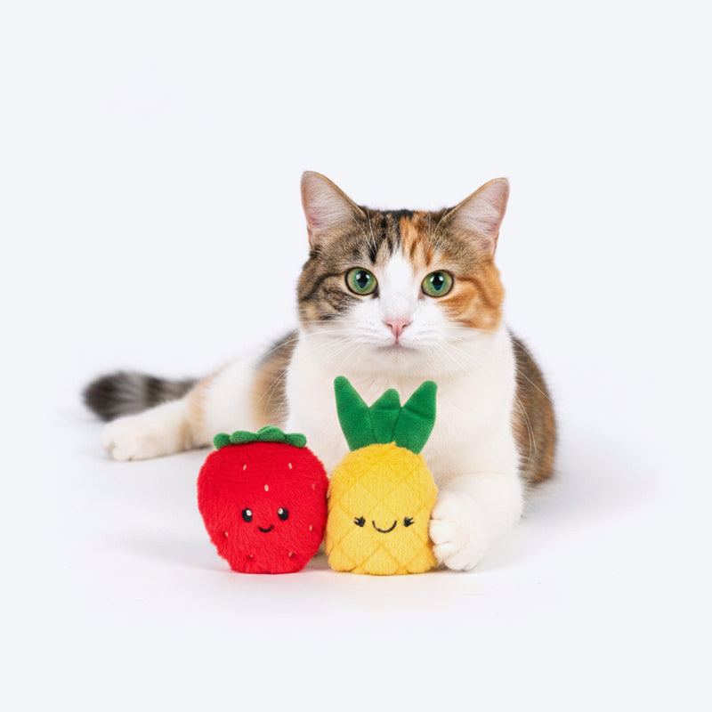 HUFT Fruitastic Plush Toys With Catnip For Cat - Red & Yellow - Set Of 2