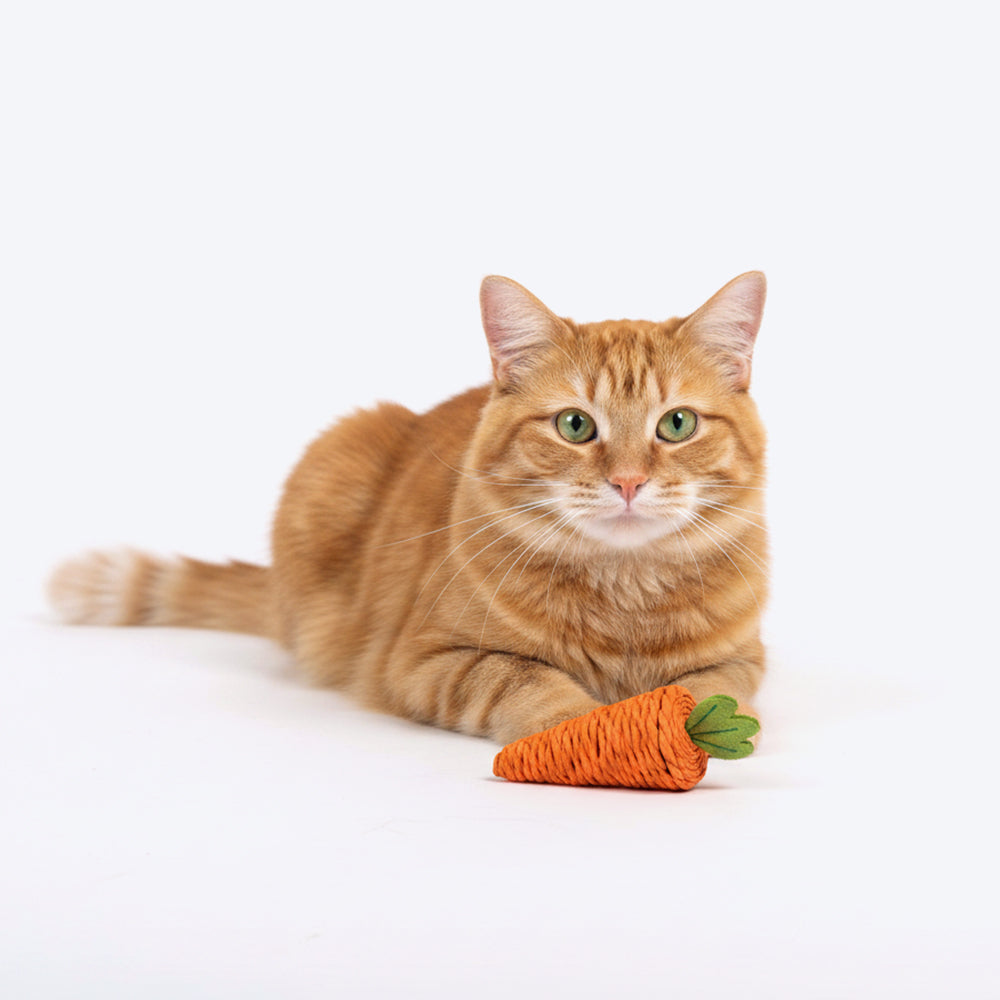 HUFT Carrotini Rattle Toy For Cat - Orange