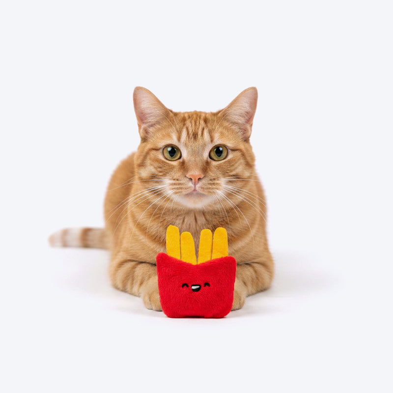 HUFT Happi Meal Plush Toys With Catnip For Cat - Multicolor - Set Of 2