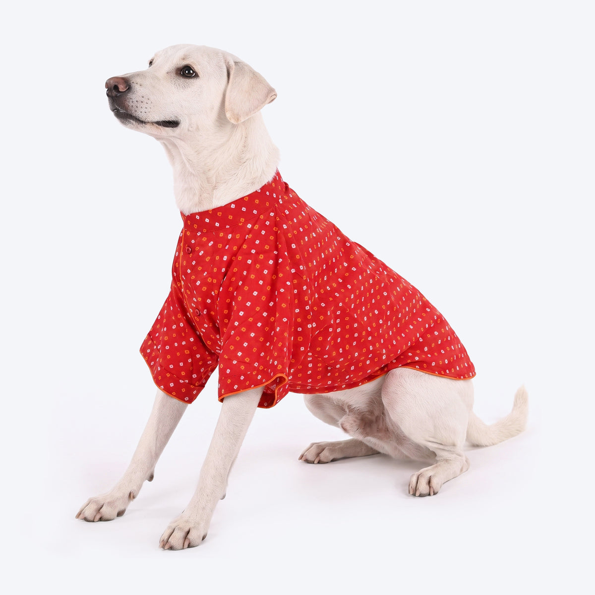 HUFT Bandhani Bloom Kurta For Dog - Red