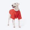 HUFT Bandhani Bloom Kurta For Dog - Red