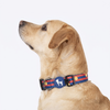 HUFT Playstripes Collar For Dog - Rust & Navy