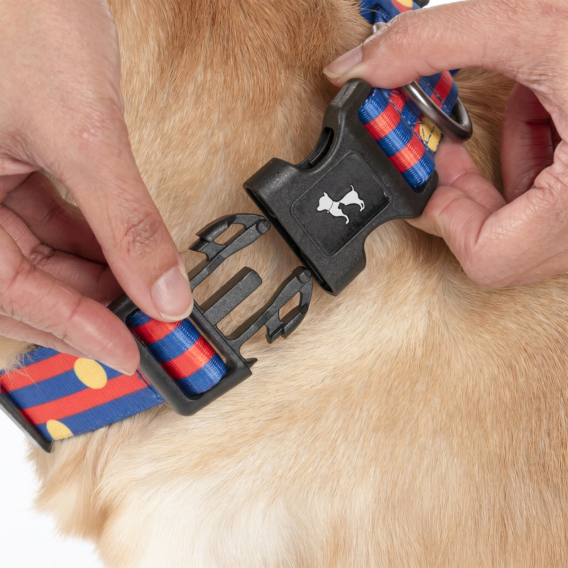 HUFT Playstripes Collar For Dog - Rust & Navy