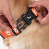 HUFT Teddy Collar For Dog - Red
