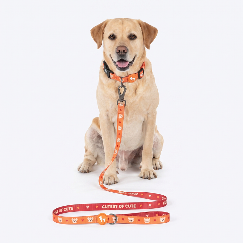 HUFT Teddy Leash For Dog - Red