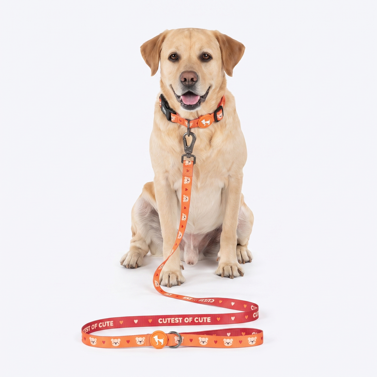 HUFT Teddy Collar For Dog - Red