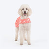 HUFT Daisy Printed Dress For Dog - Coral & White