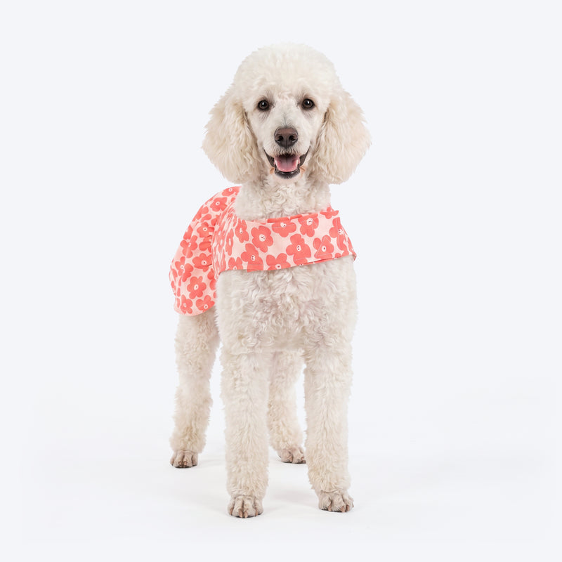 HUFT Daisy Printed Dress For Dog - Coral & White