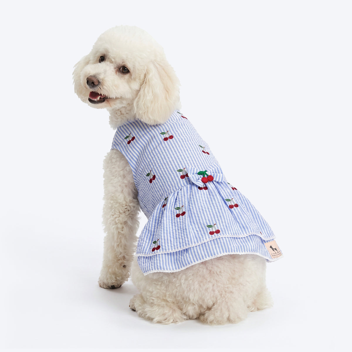 HUFT Cherie Cherry Stripe Dress For Dog - Blue & White