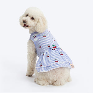 HUFT Cherie Cherry Stripe Dress For Dog - Blue & White