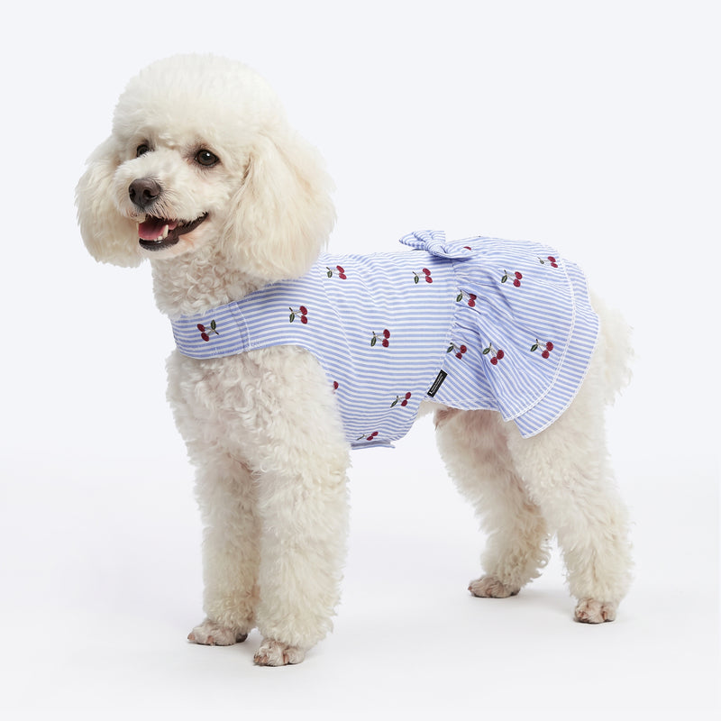 HUFT Cherie Cherry Stripe Dress For Dog - Blue & White